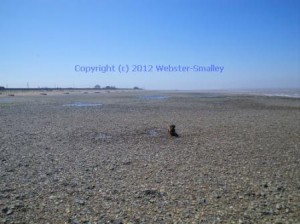 seasalter-may-2012-6